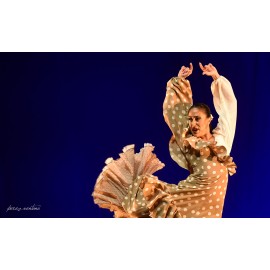 16.9. und 17.9. Flamenco Tanz Workshop von Beatriz Rivero - MITTELSTUFE -FORTGESCHRITTEN